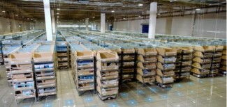 京东物流再亮剑 探秘仓储自动化新科技如何重塑行业格局